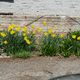 Image for article titled Sony a6000 Review: A Solid Mirrorless Camera That's a Small Step Up